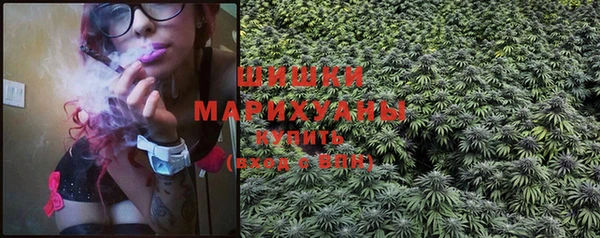 шишки Балахна