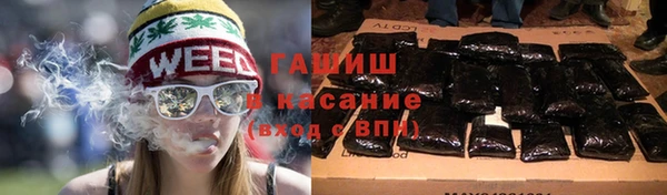 шишки Балахна