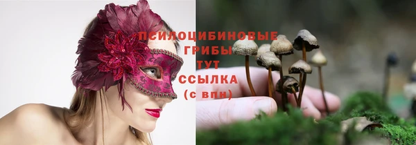 кокс Балабаново
