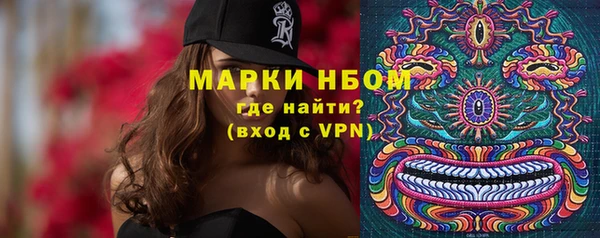 шишки Балахна