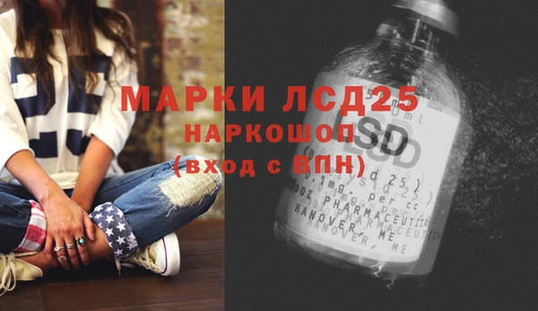 шишки Балахна