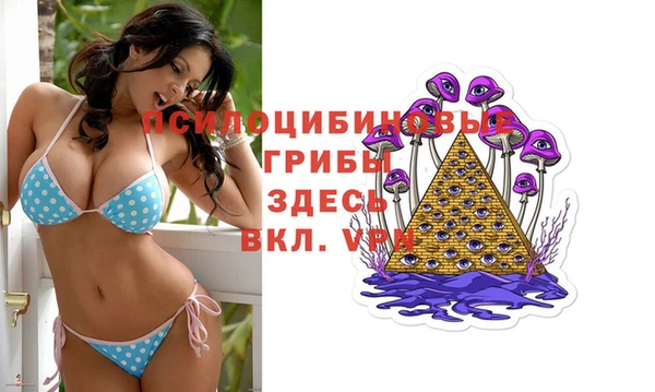 шишки Балахна