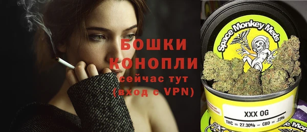 шишки Балахна